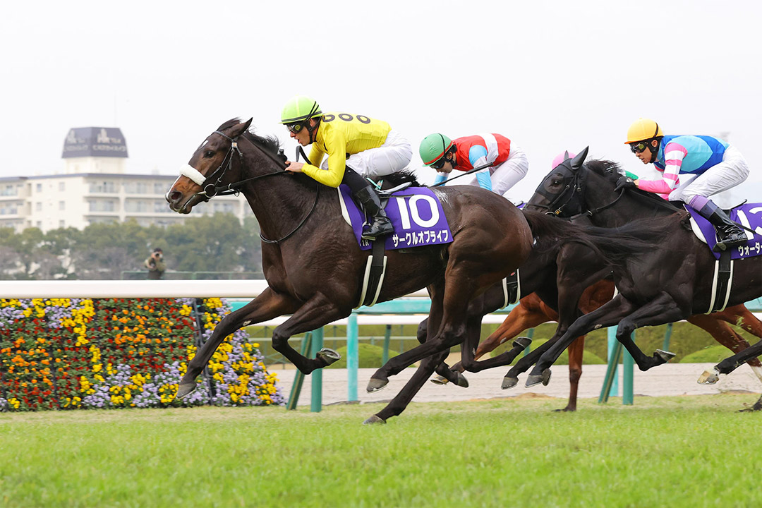 Circle of Life wins the 2021 Hanshin Juvenile Fillies at Hanshin Racecourse