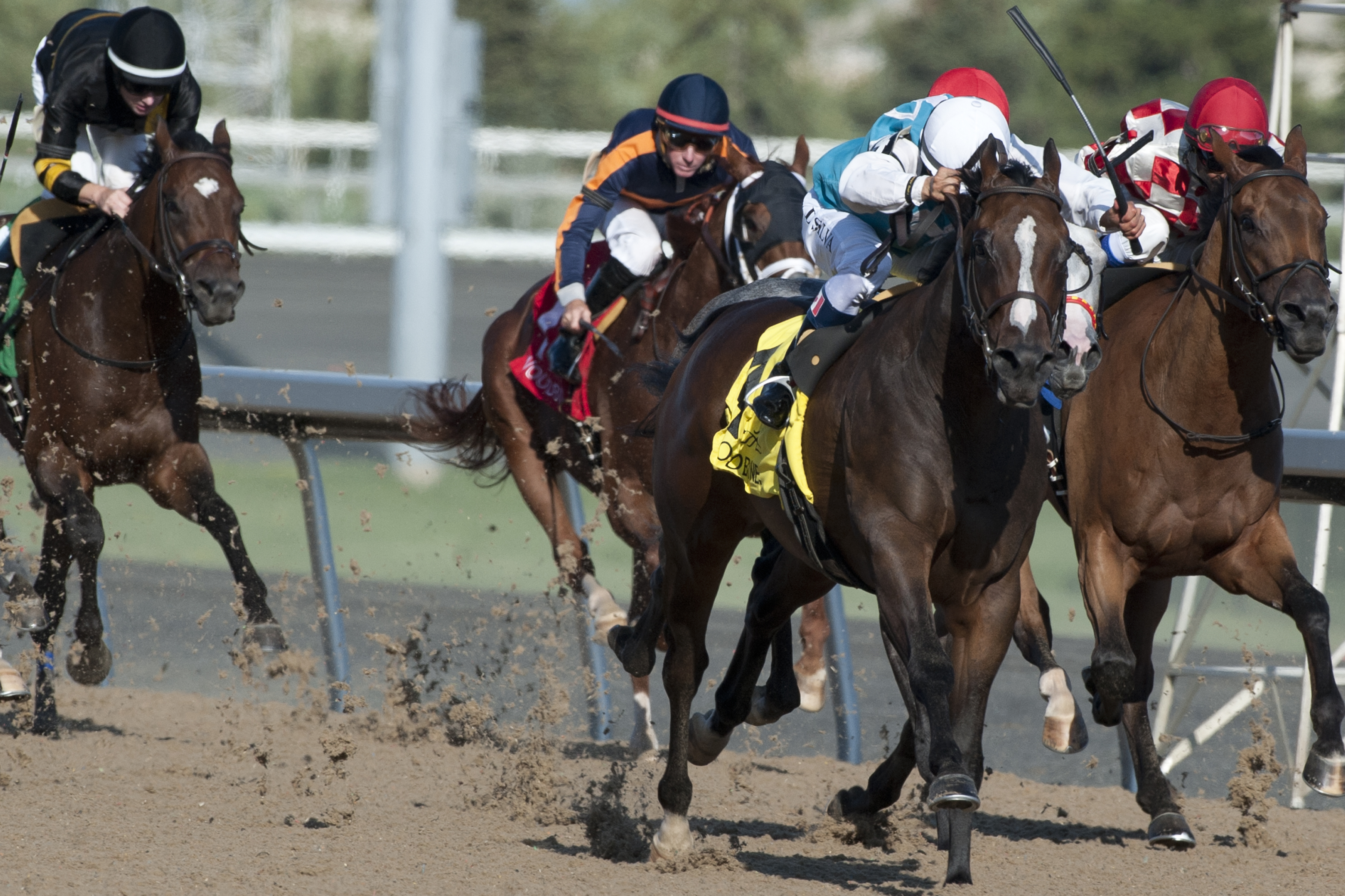 Circle of Friends wins the 2017 Ontario Jockey Club Stakes at Woodbine_MB