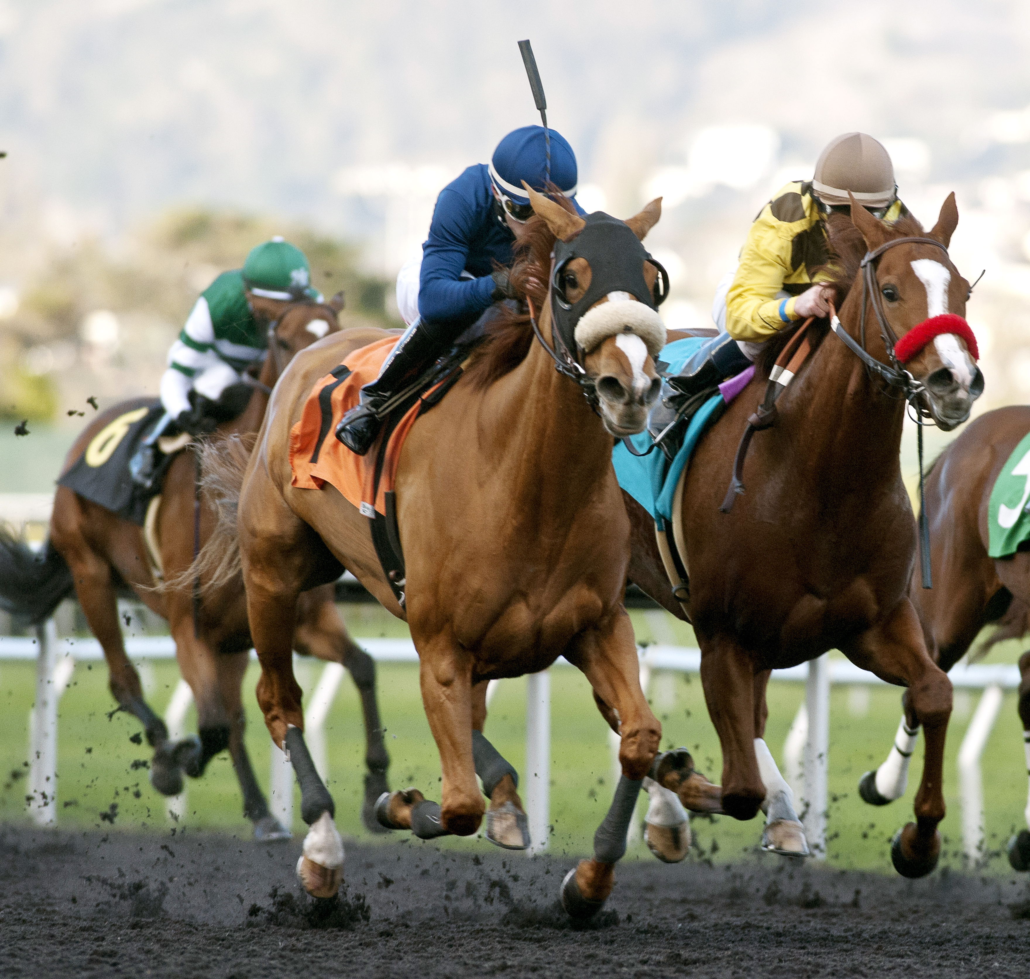 Circling wins the Miss America Stakes