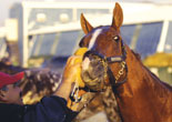 Circular Quay