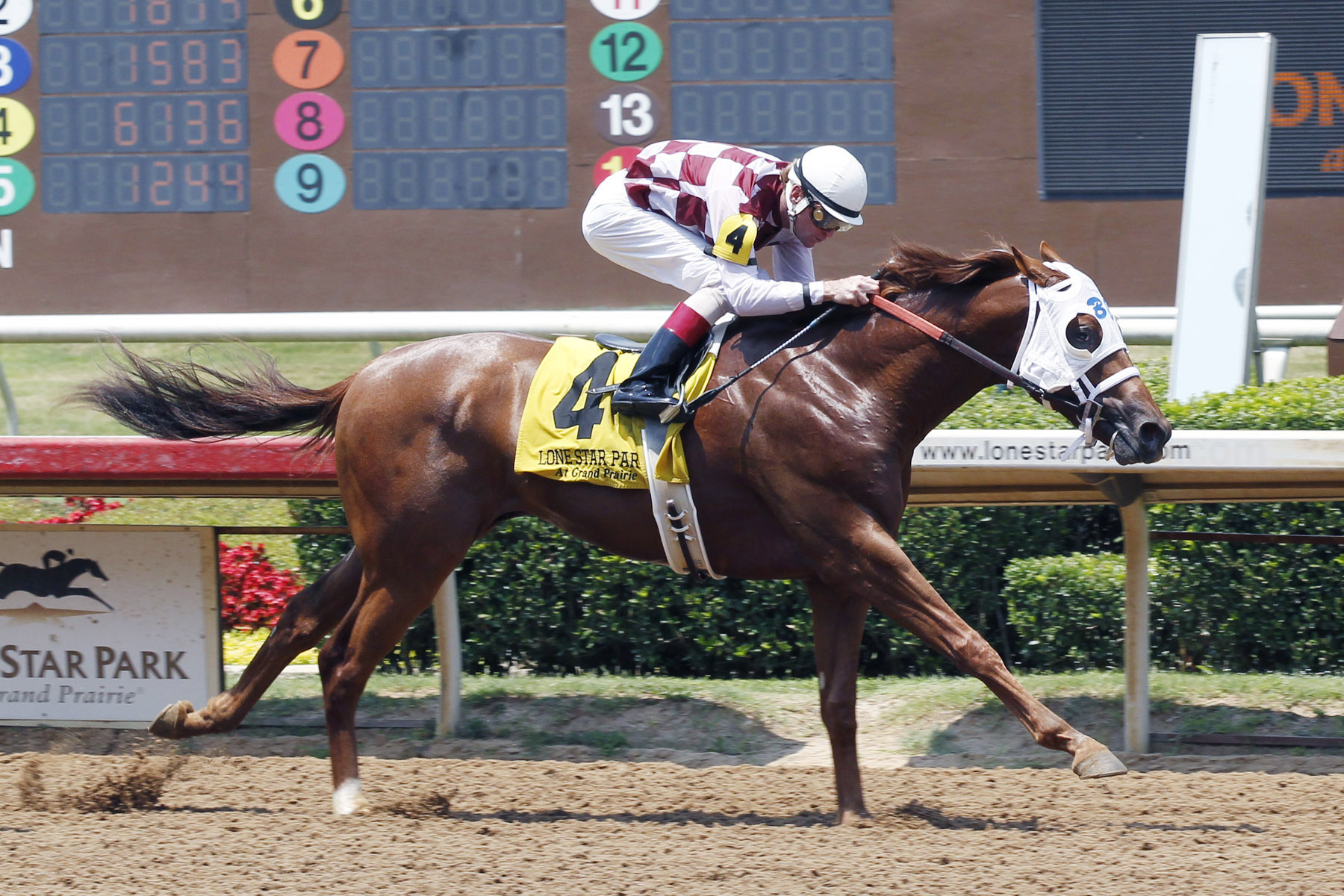 Circustown Flyer wins the TTA Sales Futurity