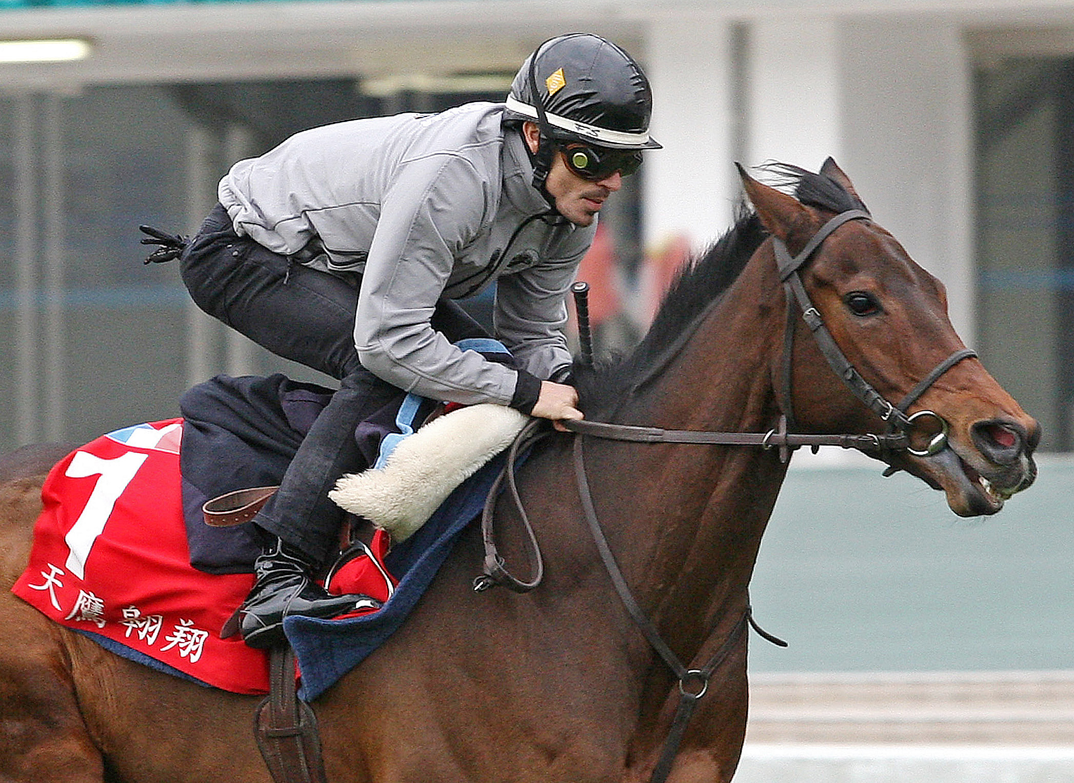 Cirrus des Aigles