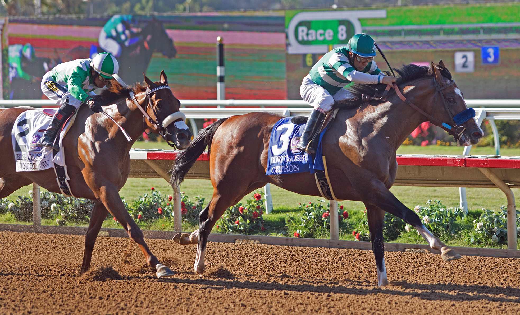 Cistron wins the 2019 Bing Crosby Stakes