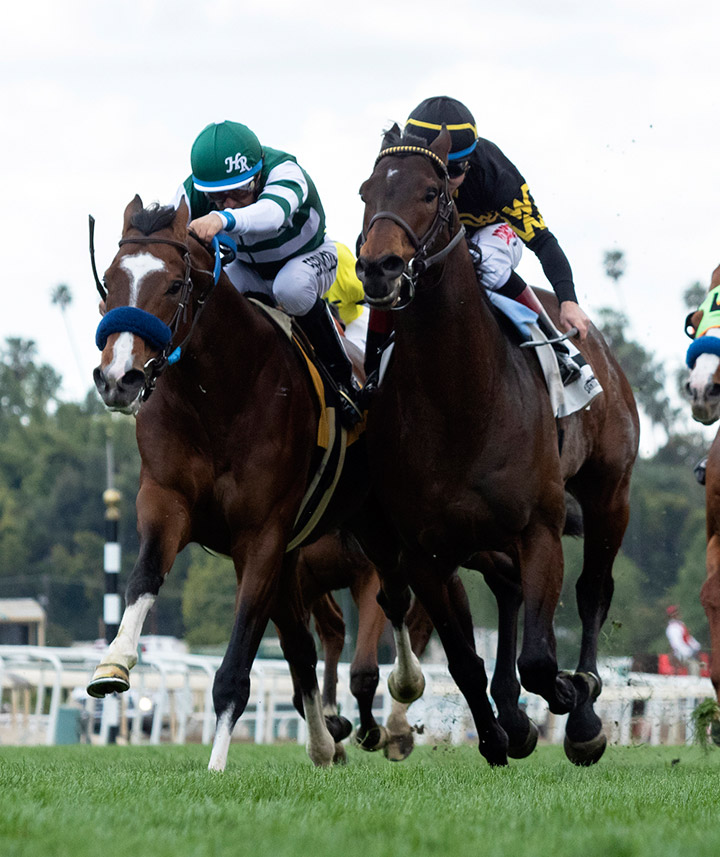 Bound for Nowhere (right) finishes second to Cistron in the San Simeon Stakes at Santa Anita