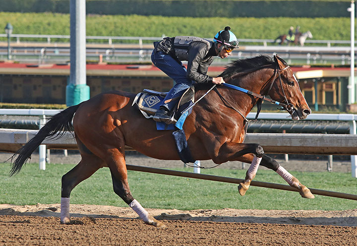 Cistron trains at Santa Anita Park on Feb. 24