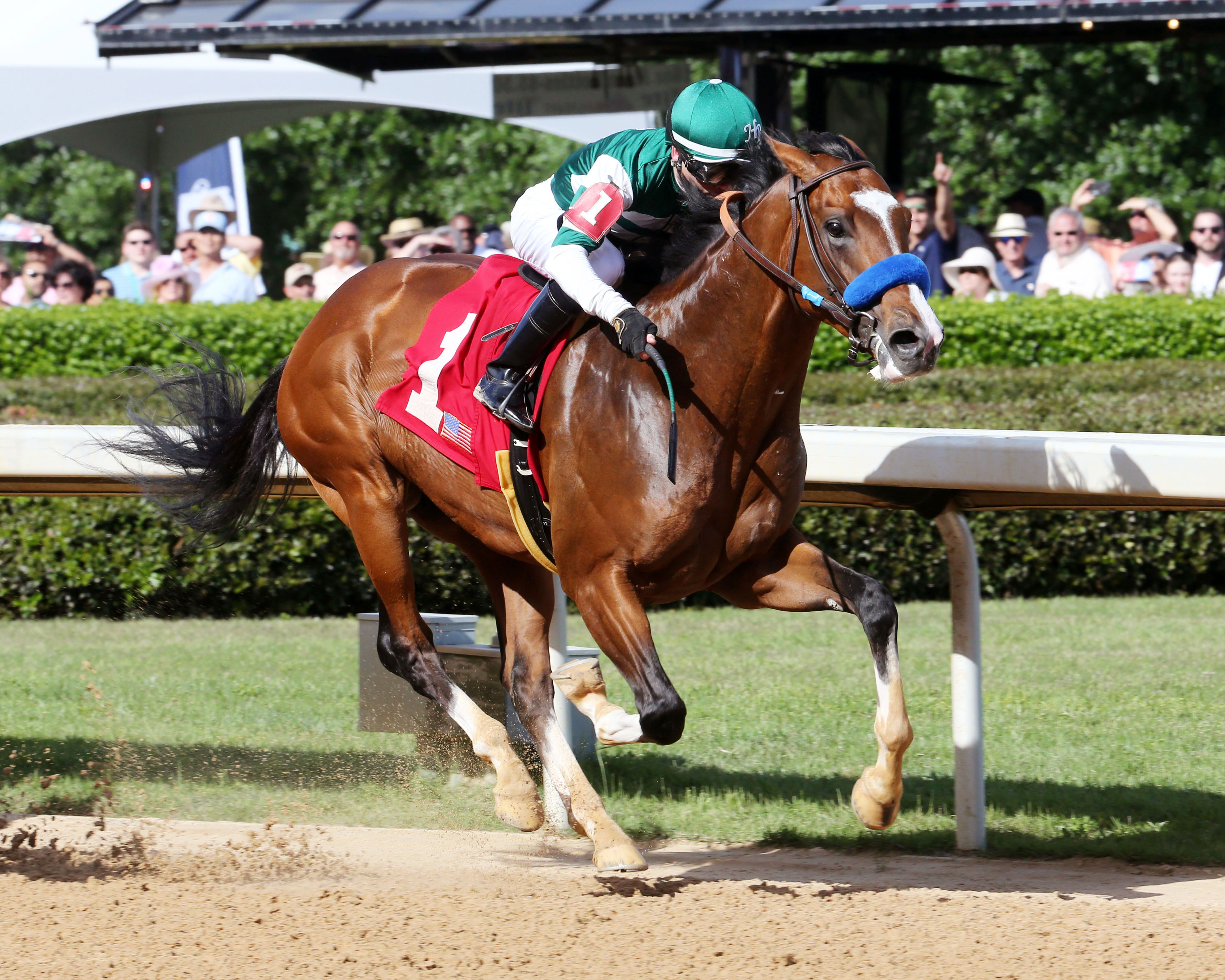 Cistron wins the Northern Spur