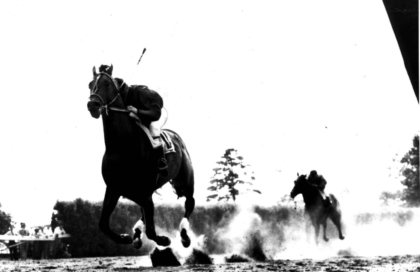 Citation/Belmont Stakes
