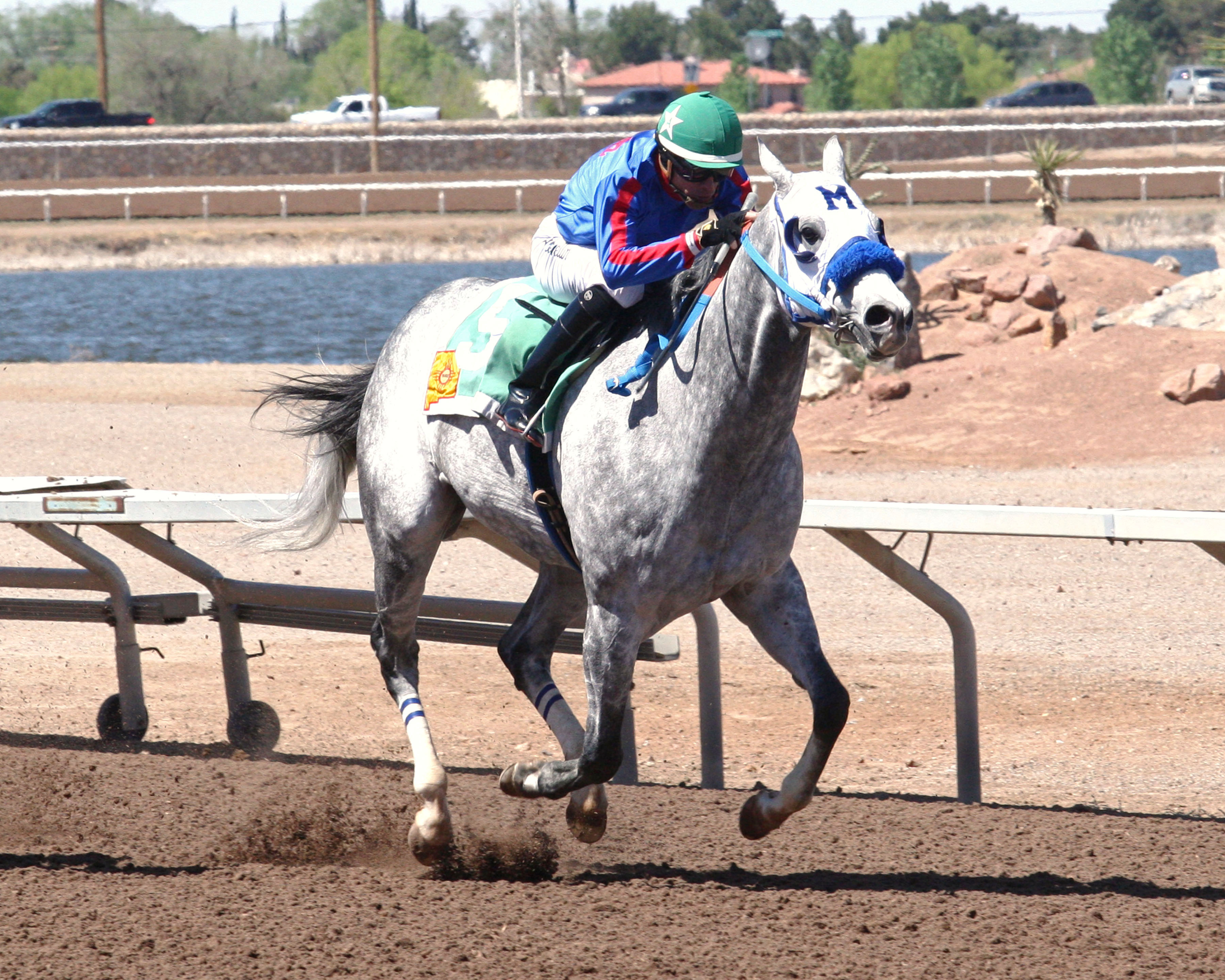 Citizen Geller wins the 2017 Mike Weatherly Memorial Stakes