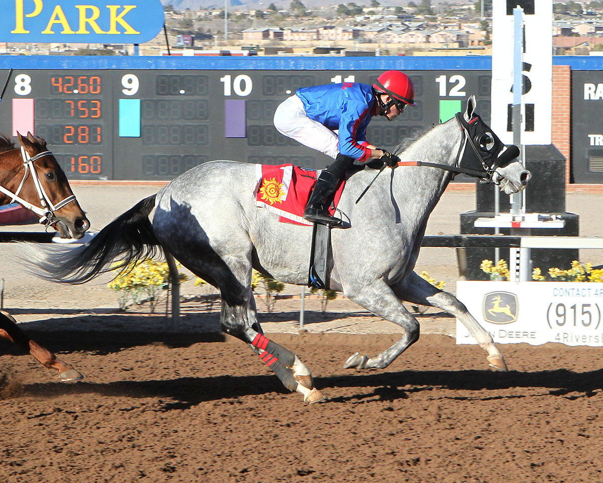 Citizen Geller wins the Mt. Cristo Rey Handicap