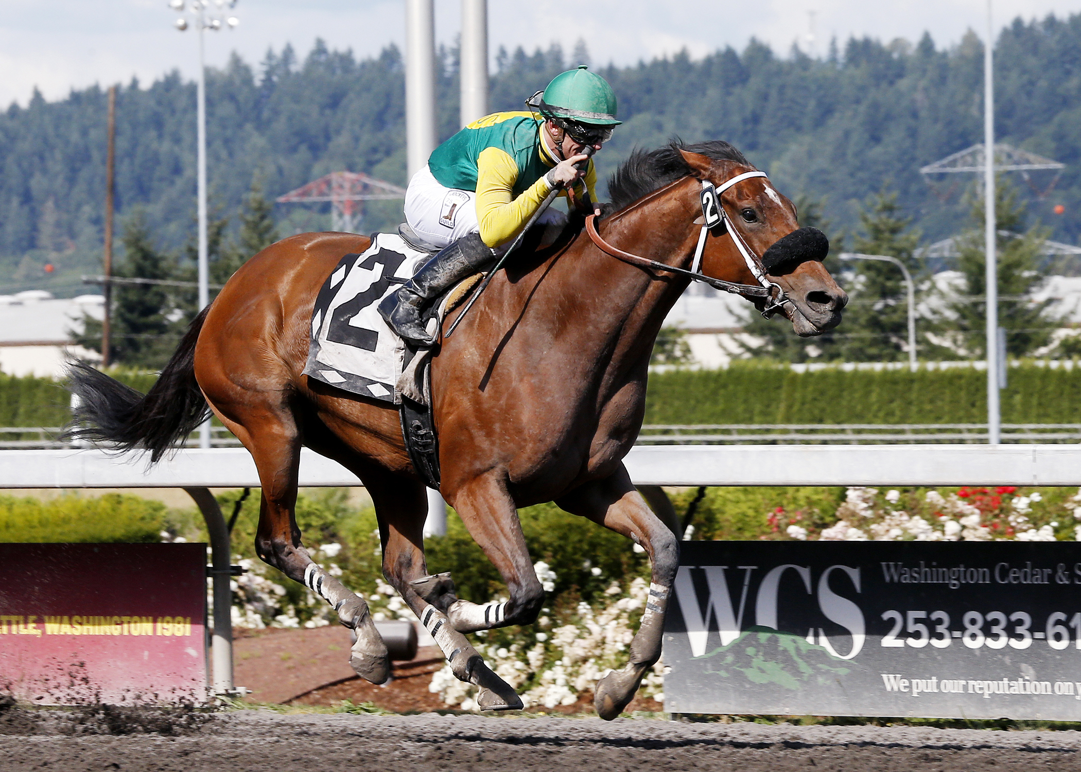 Citizen Kitty wins the 2017 Boeing Stakes