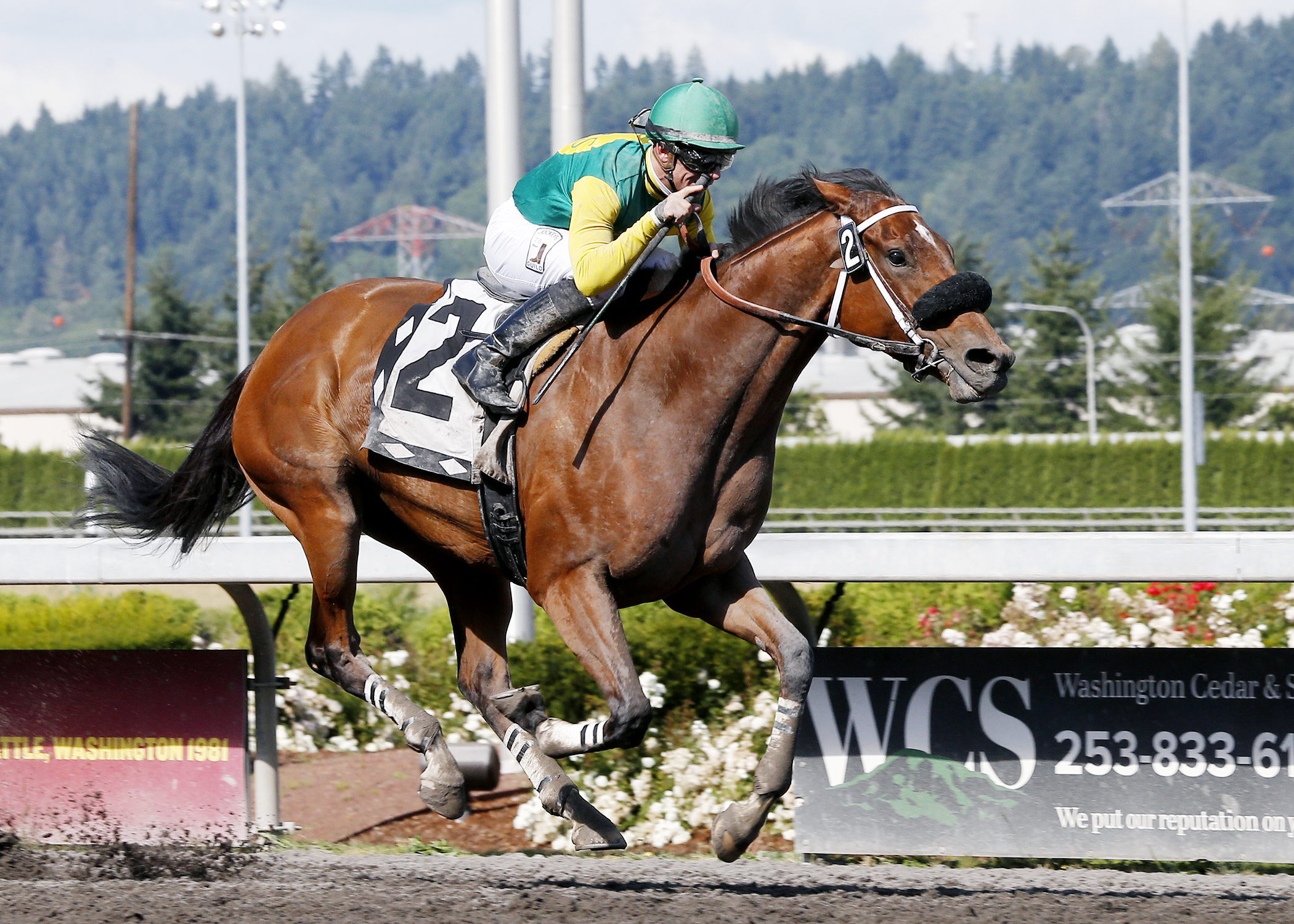 Citizen Kitty wins the 2017 Boeing Stakes