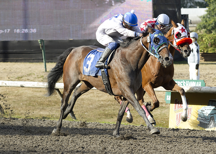 Citron Kid wins the 2017 HBPA Claiming Championship