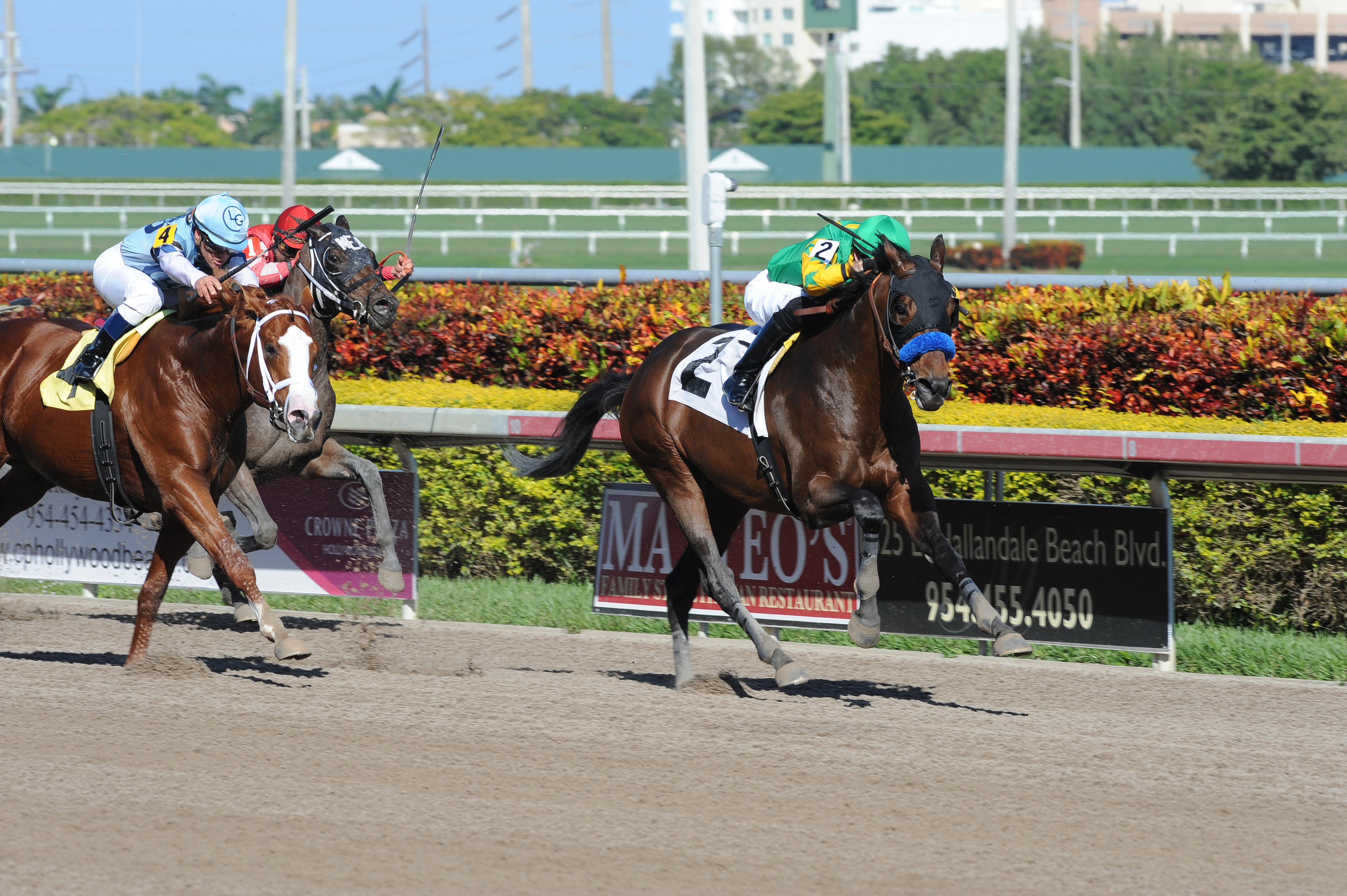 Citrus Kid, El Padrino, allowance