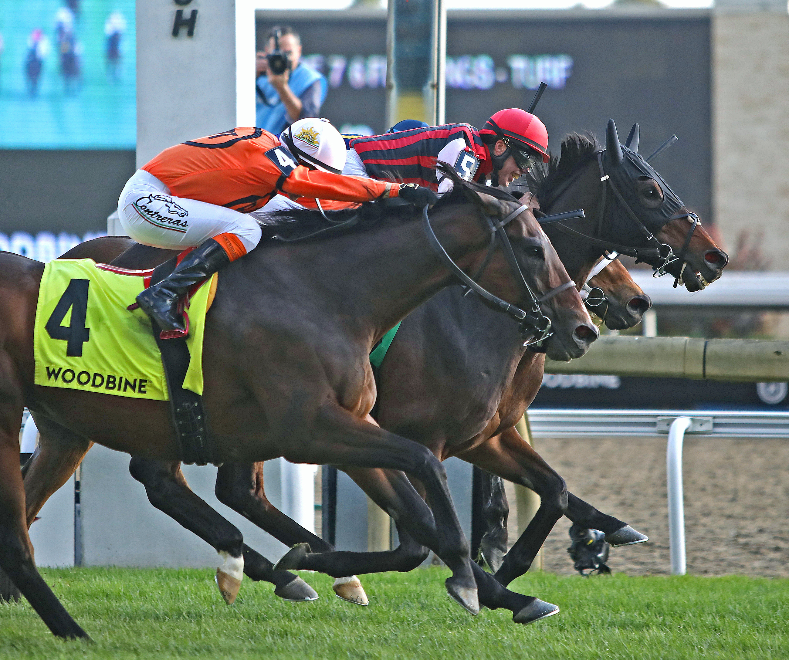 City Boy (center) wins the 2019 Nearctic Stakes