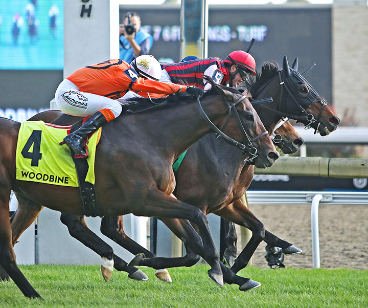 City Boy (red silks) wins the 2019 Nearctic Stakes at Woodbine Racetrack