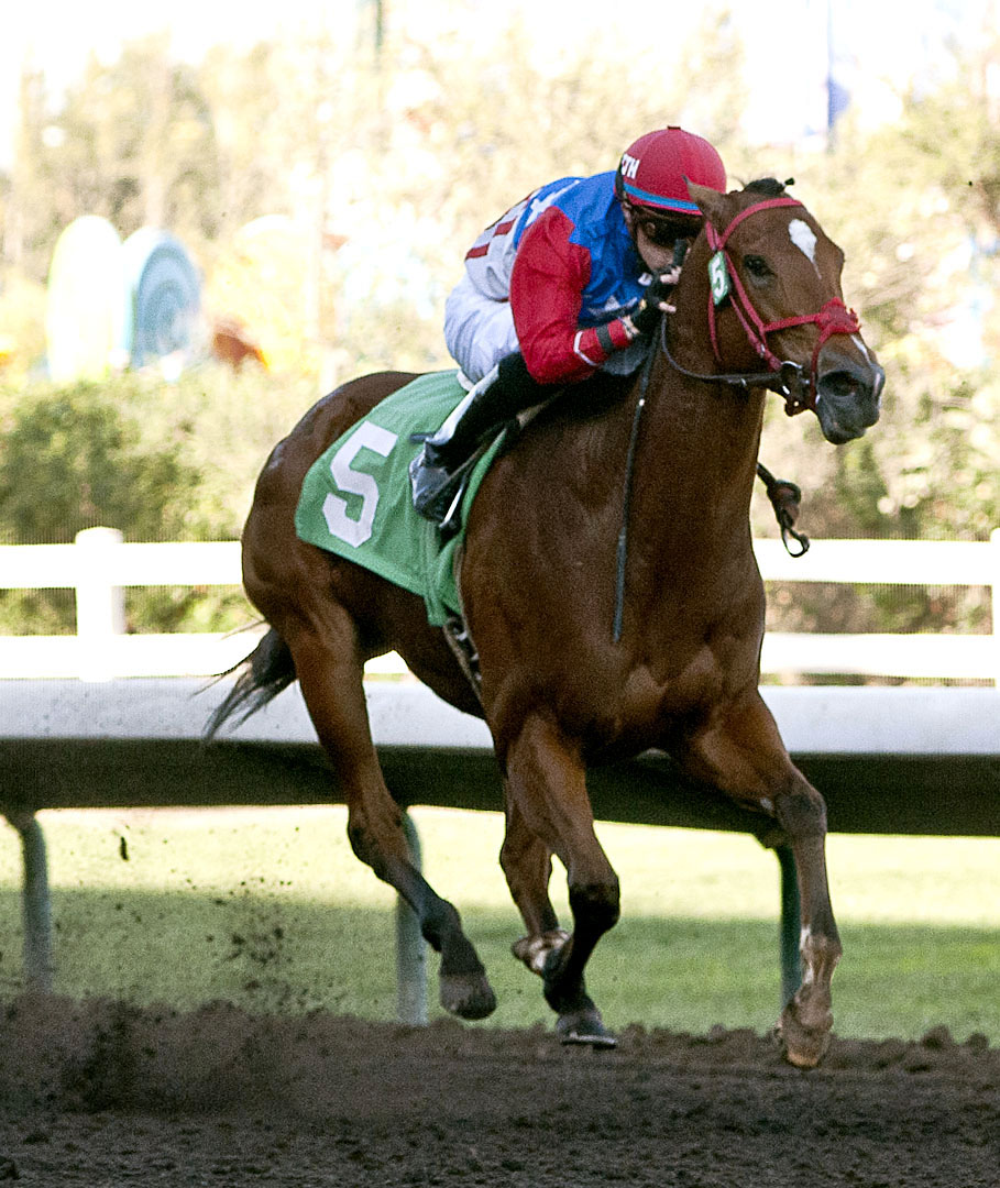 City By the Bay wins the Harvest Stakes