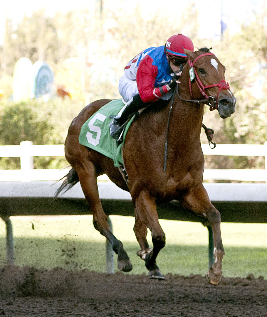 City by the Bay wins the Harvest Stakes