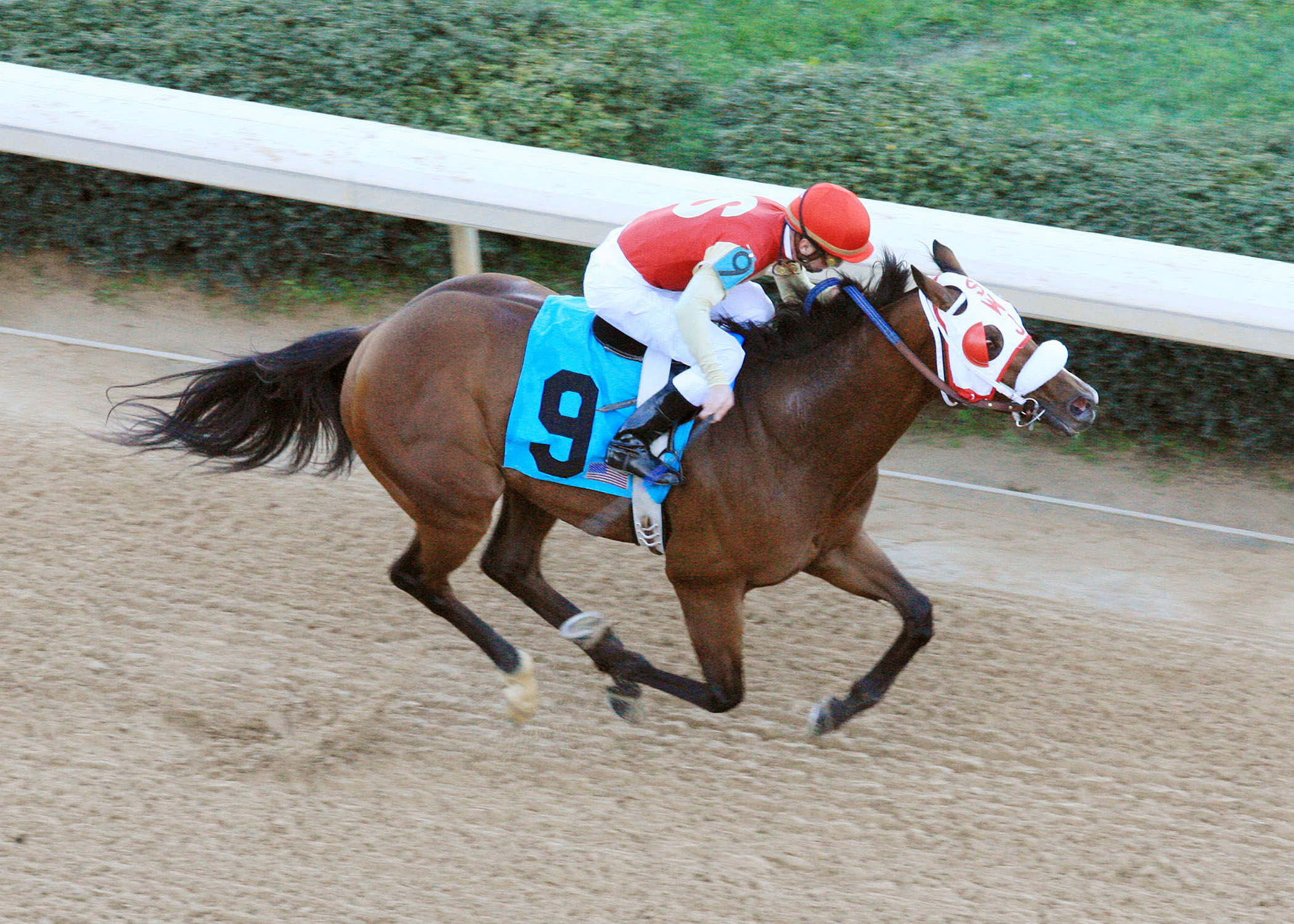 City Sage wins the 2012 Hot Springs Stakes