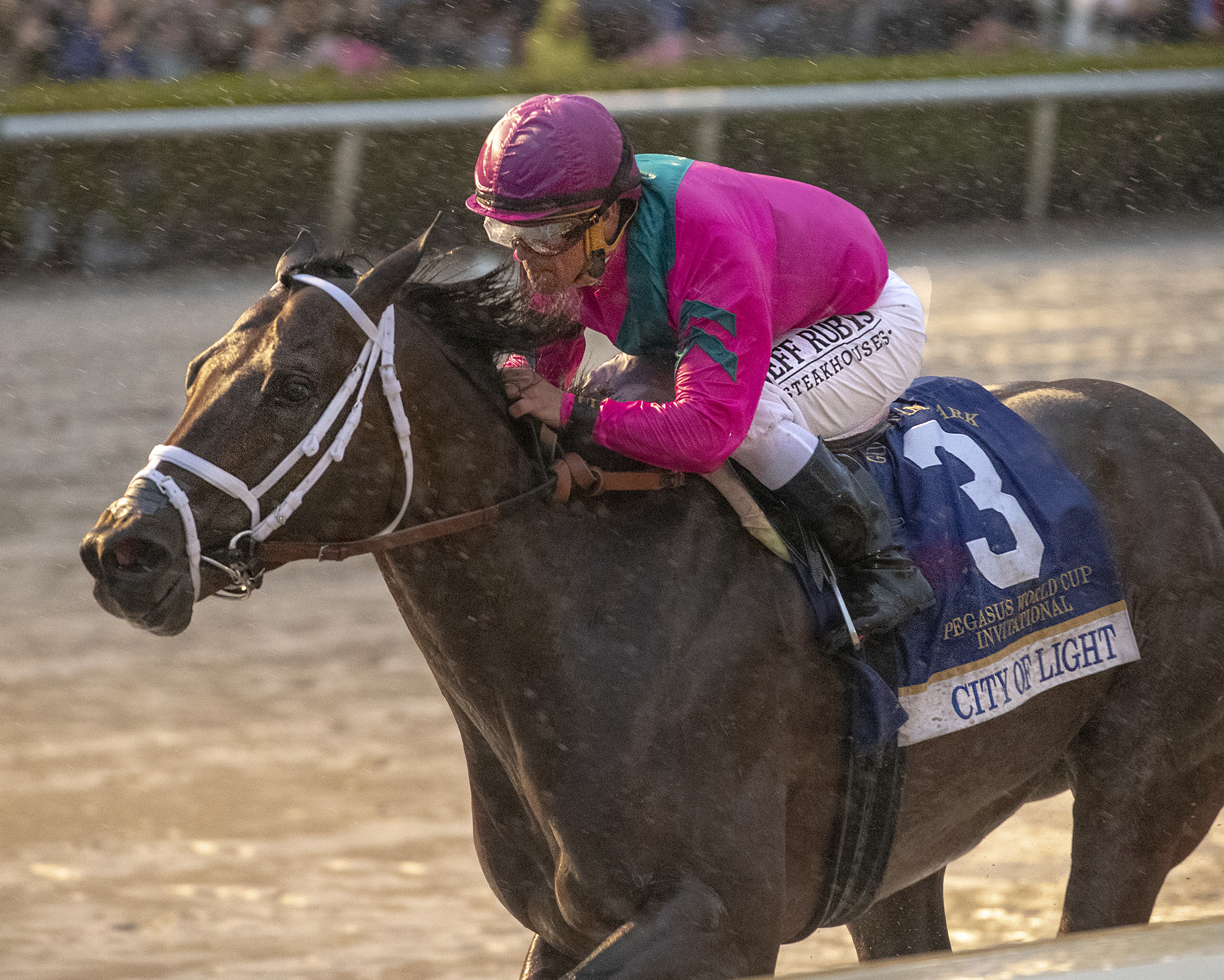 City of Light wins the 2019 Pegasus World Cup