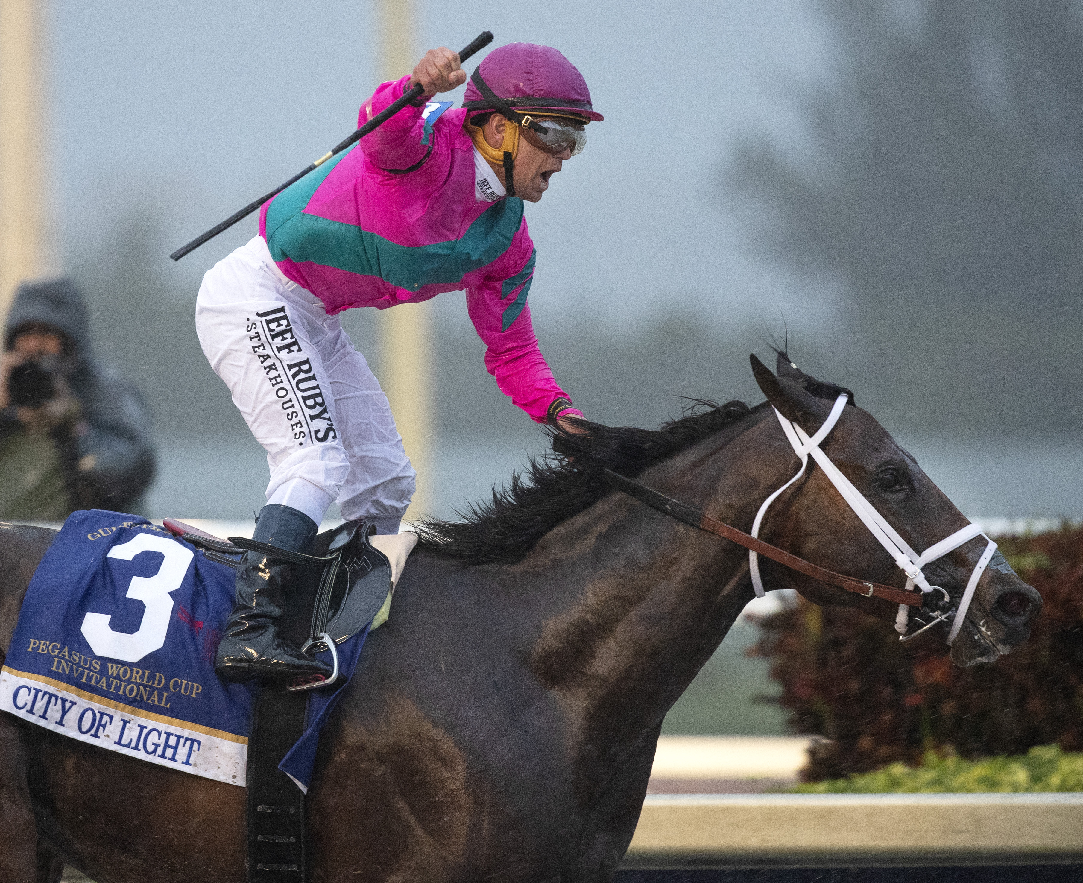 City of Light wins 2019 Pegasus World Cup