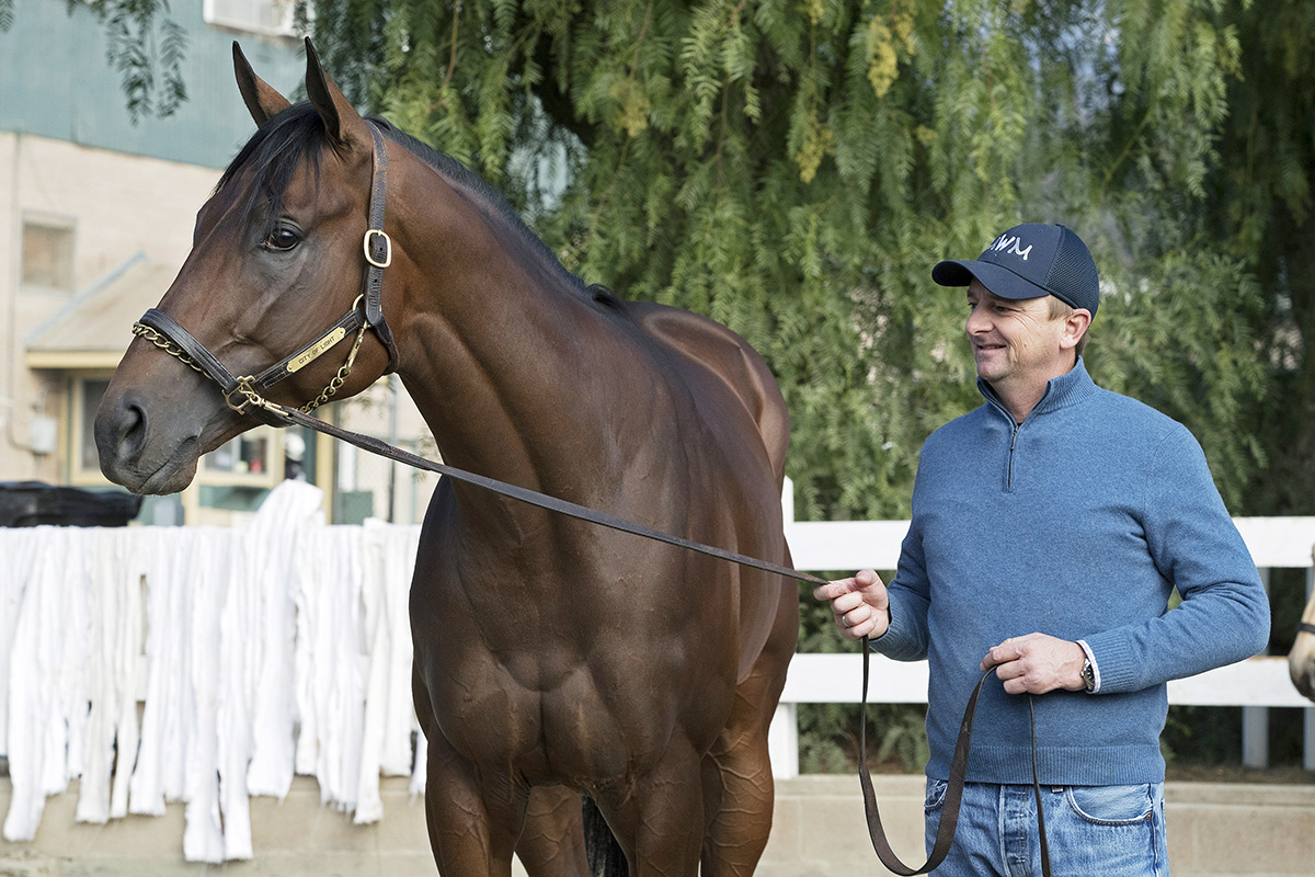City of Light with trainer Mike McCarthy