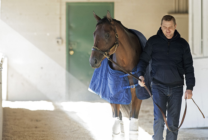 City of Light with trainer Mike McCarthy on Oct. 24