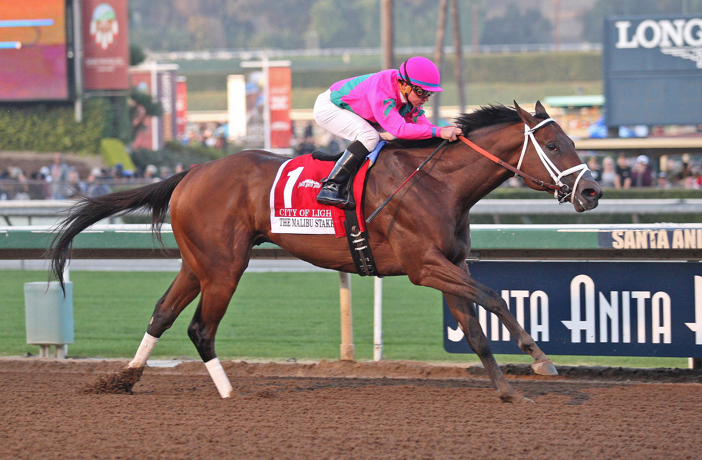 City of Light wins the 2017 Malibu