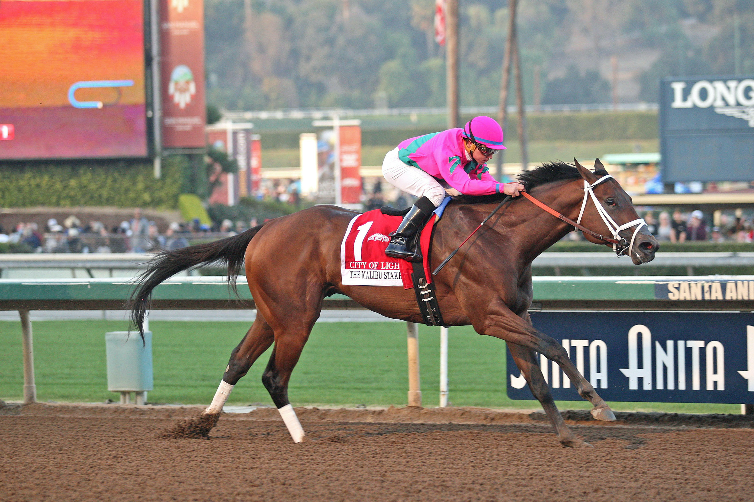 City of Light wins the 2017 Malibu Stakes