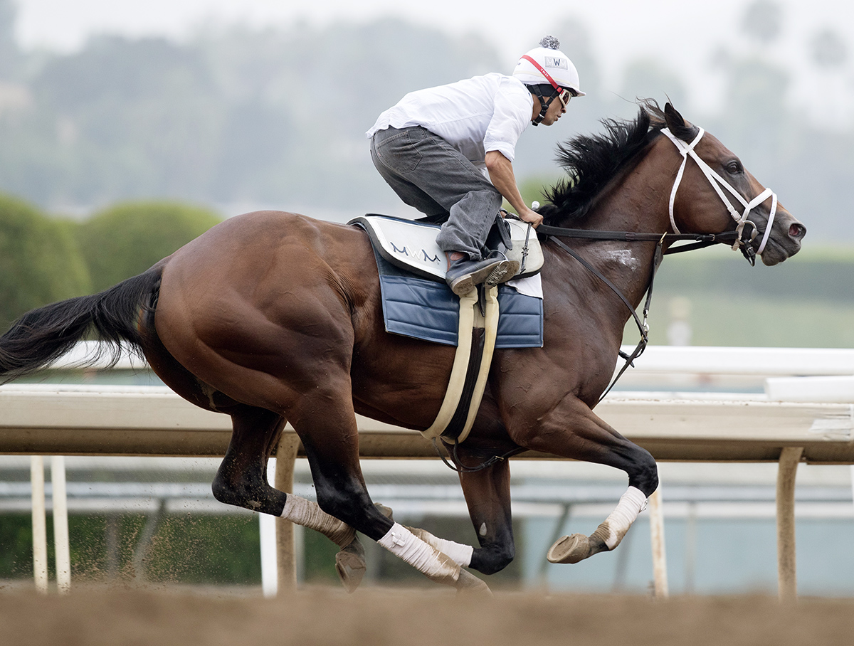 City of Light trains at Santa Anita on June 23