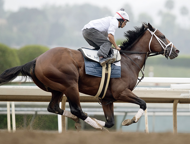 City of Light trains at Santa Anita on June 23