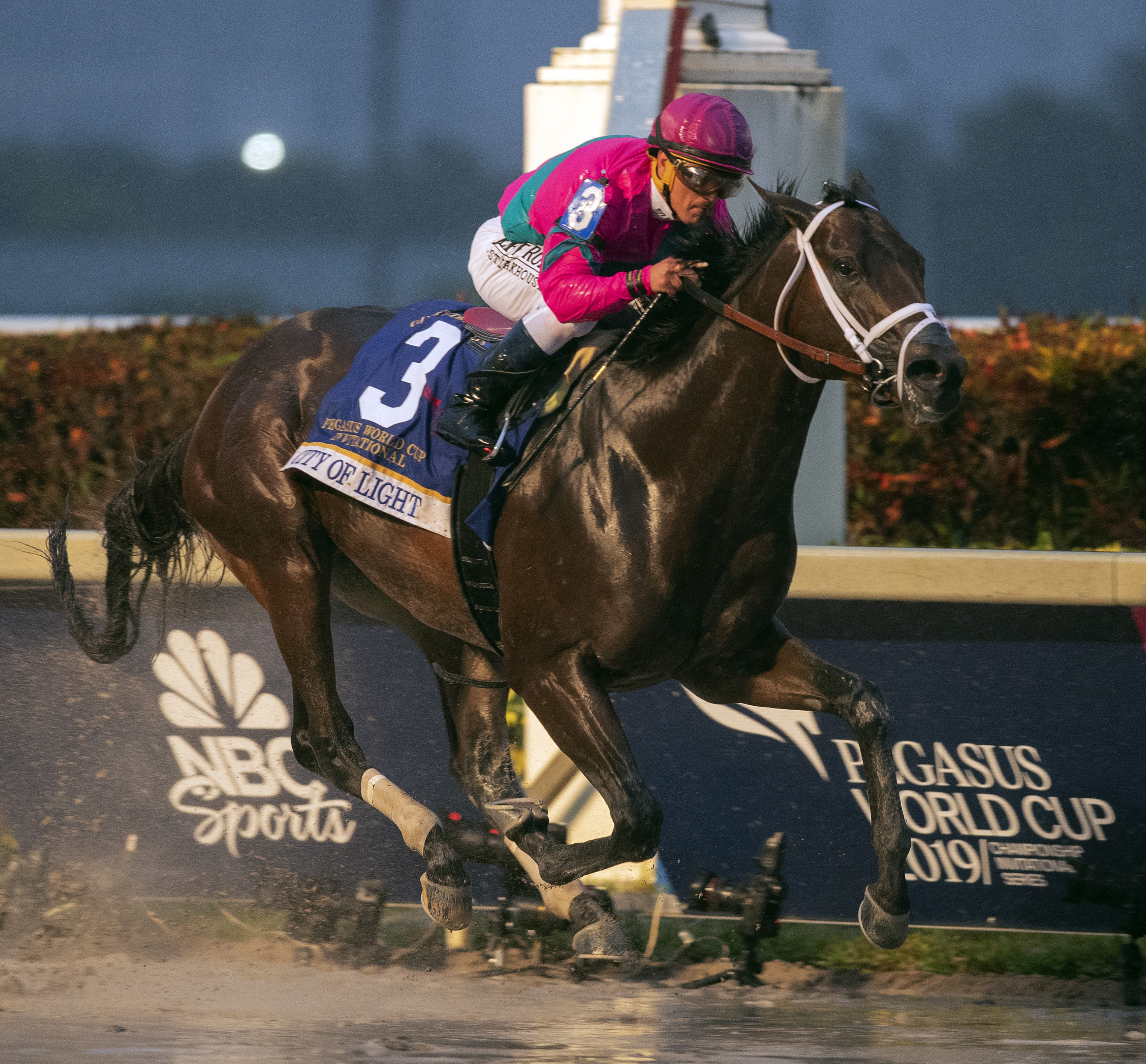 City of Light wins 2019 Pegasus World Cup (2)