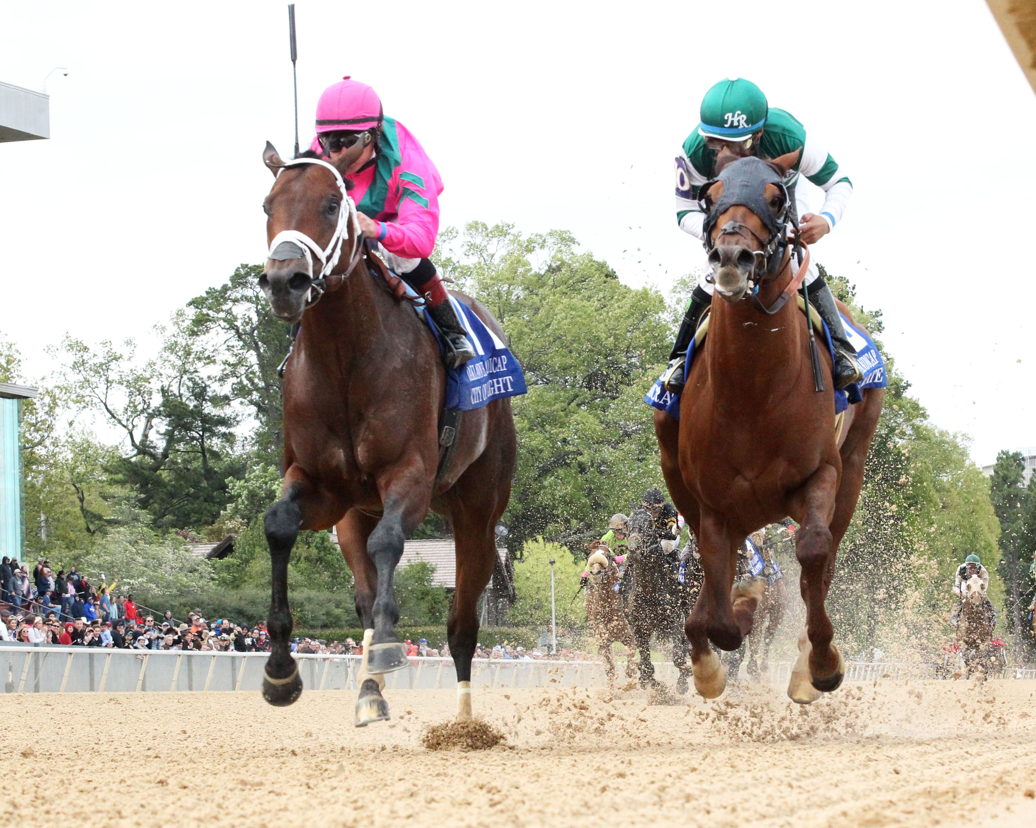 City of Light and Accelerate finish one-two in the Oaklawn Handicap