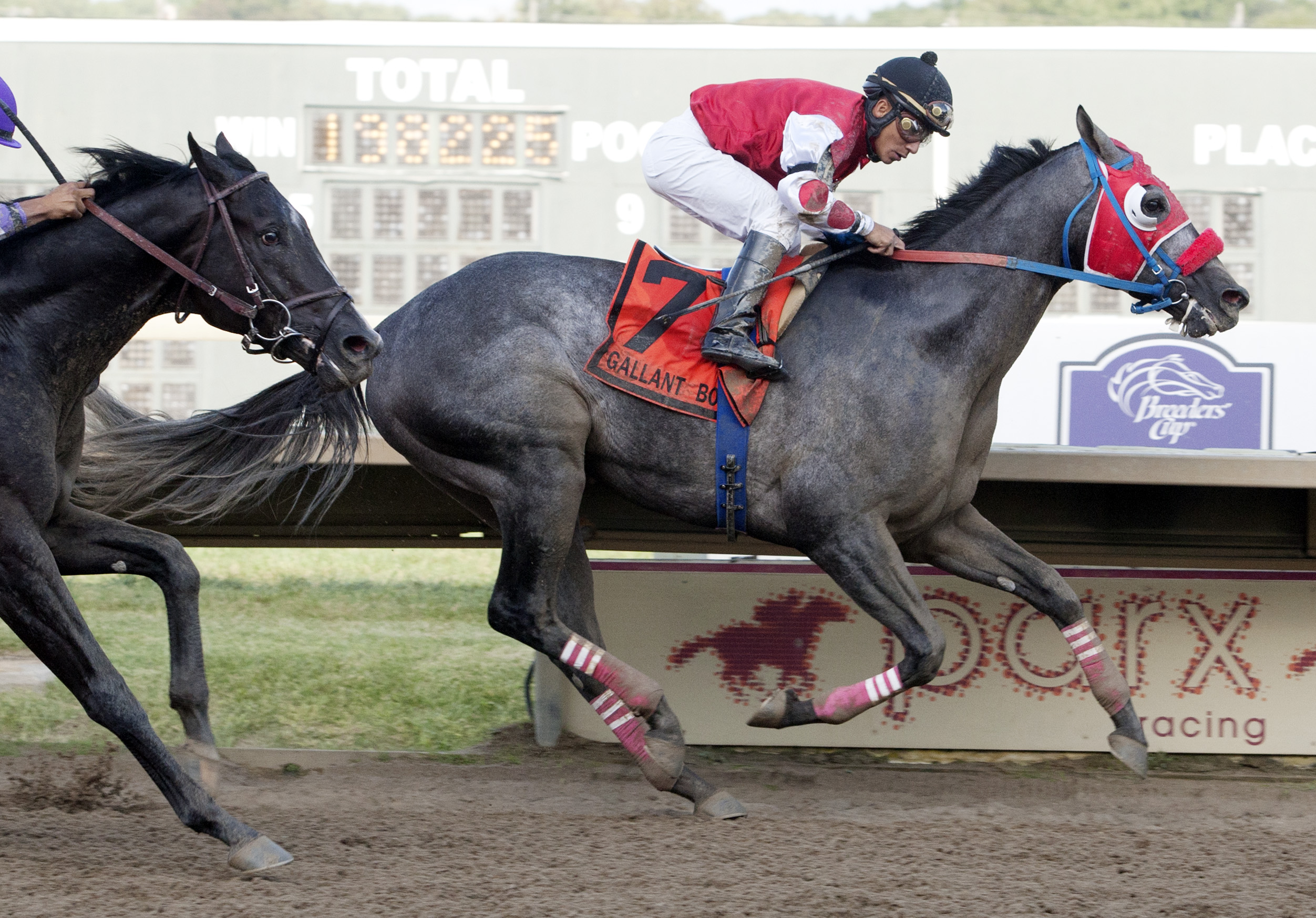 City of Weston, Gallant Bob Stakes