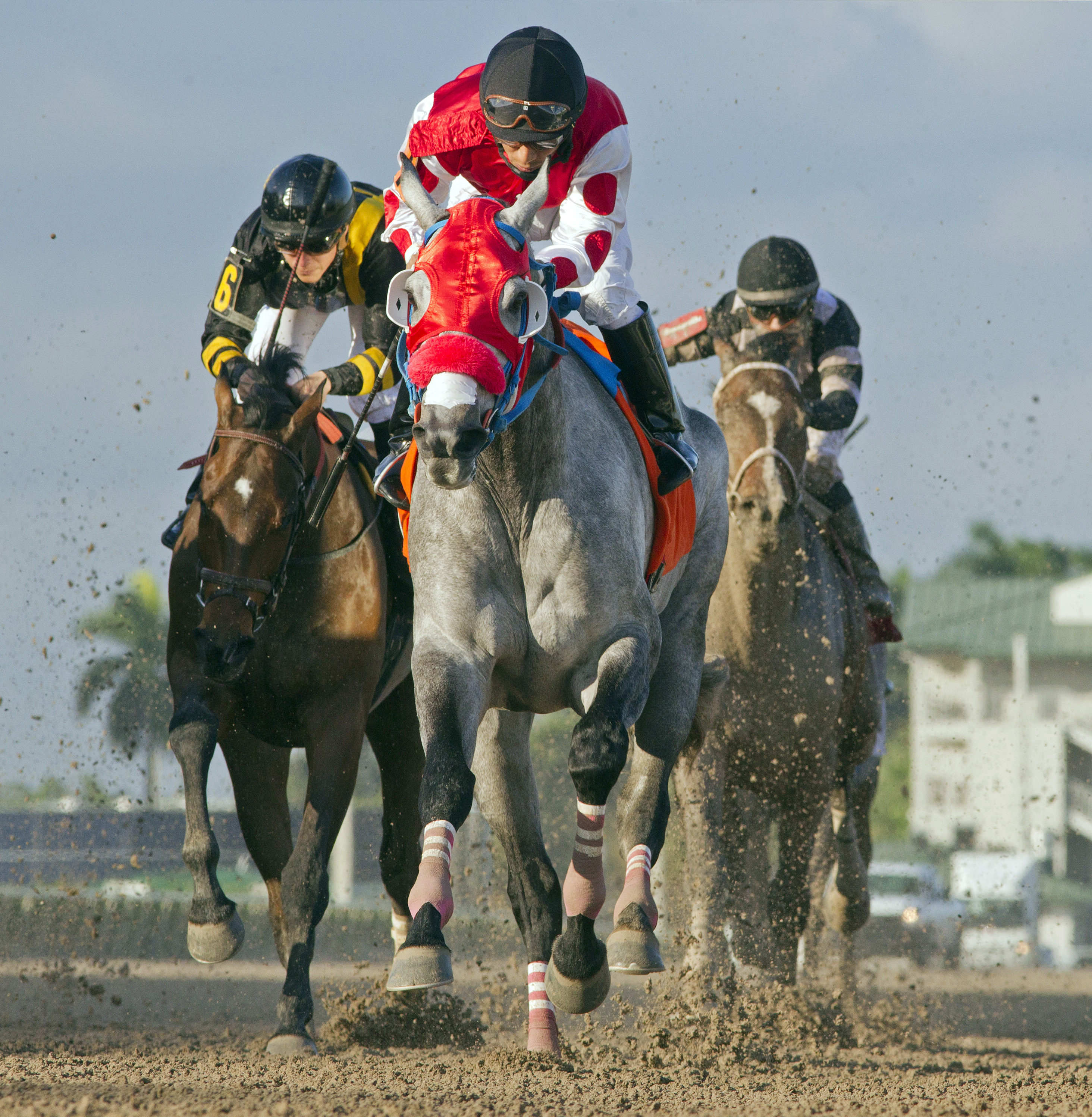 City of Weston wins an allowance