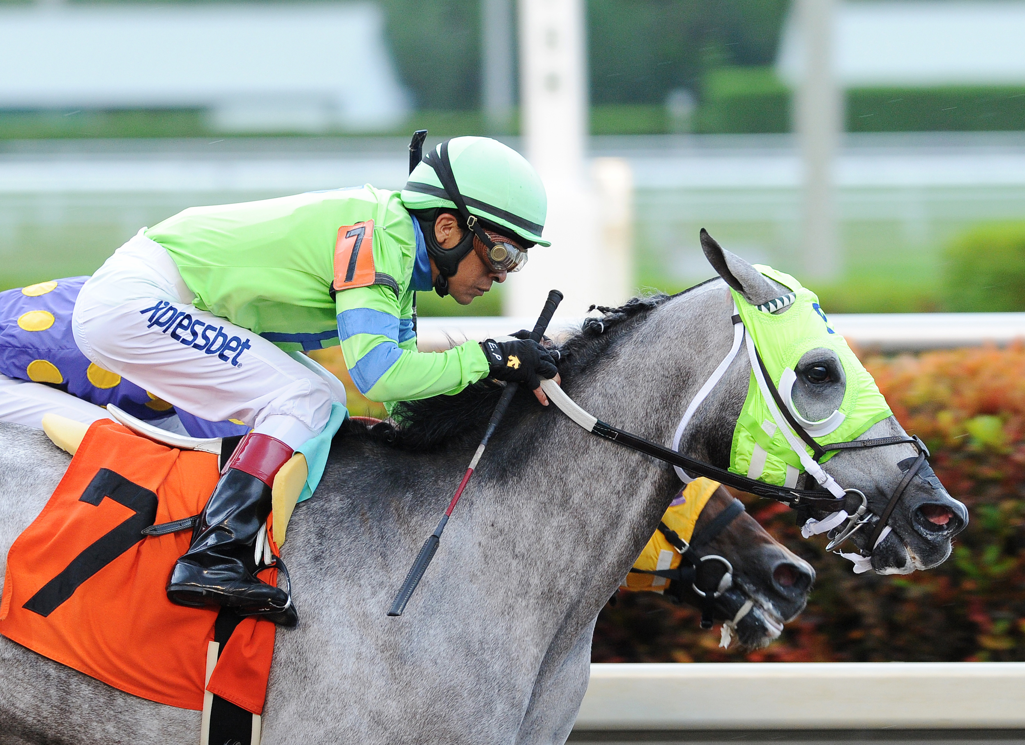 City of Weston wins the Blue Heron Handicap