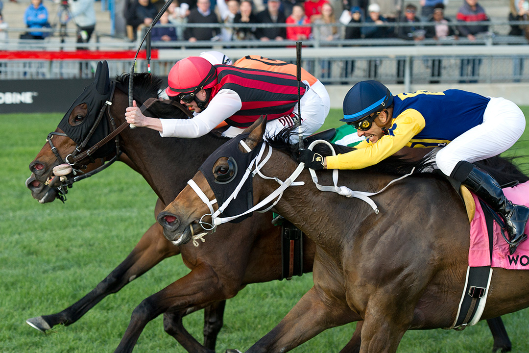 City Boy (red and black silks) wins the 2019 Nearctic Stakes at Woodbine