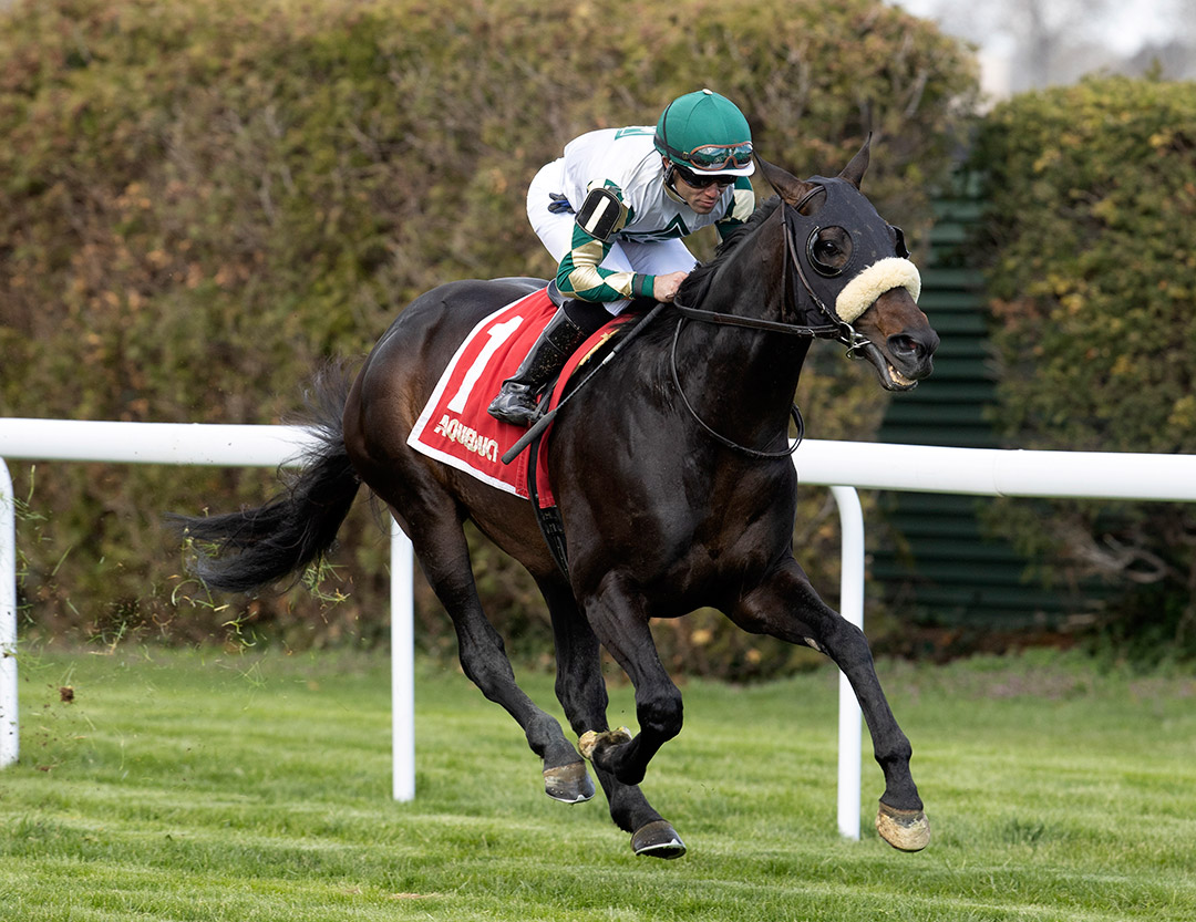 City Man wins the 2022 Danger's Hour Stakes at Aqueduct
