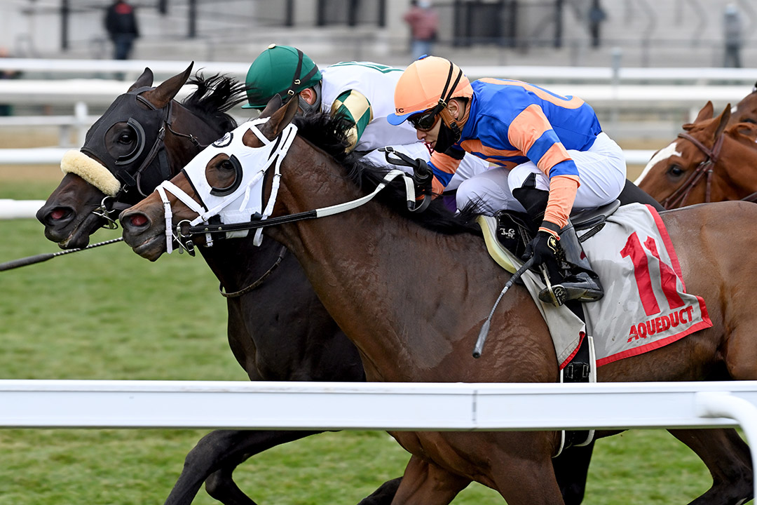 City Man (left) wins the 2020 Gio Ponti Stakes at Aqueduct