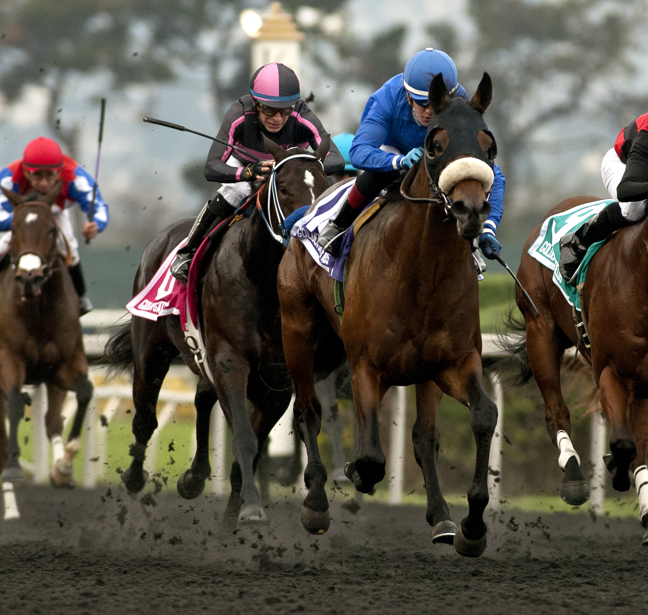 City Plan wins the 2017 Gold Rush Stakes