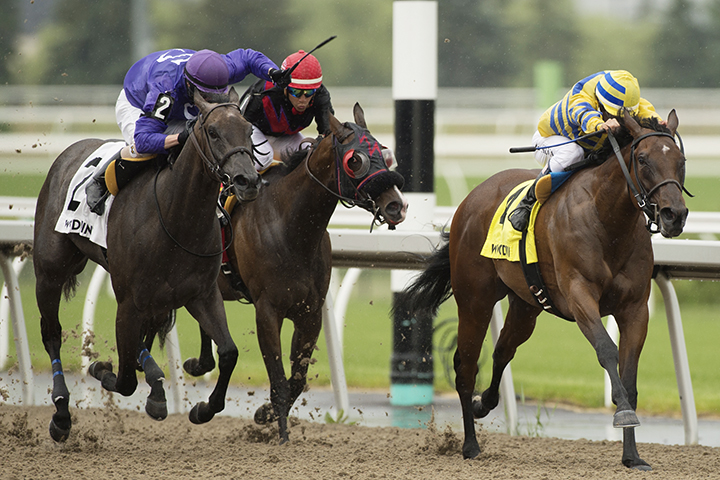 Ciuri wins the 2019 Lady Angela Stakes at Woodbine