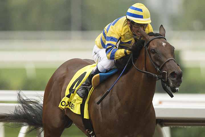 Ciuri wins the 2019 Lady Angela Stakes at Woodbine Racetrack