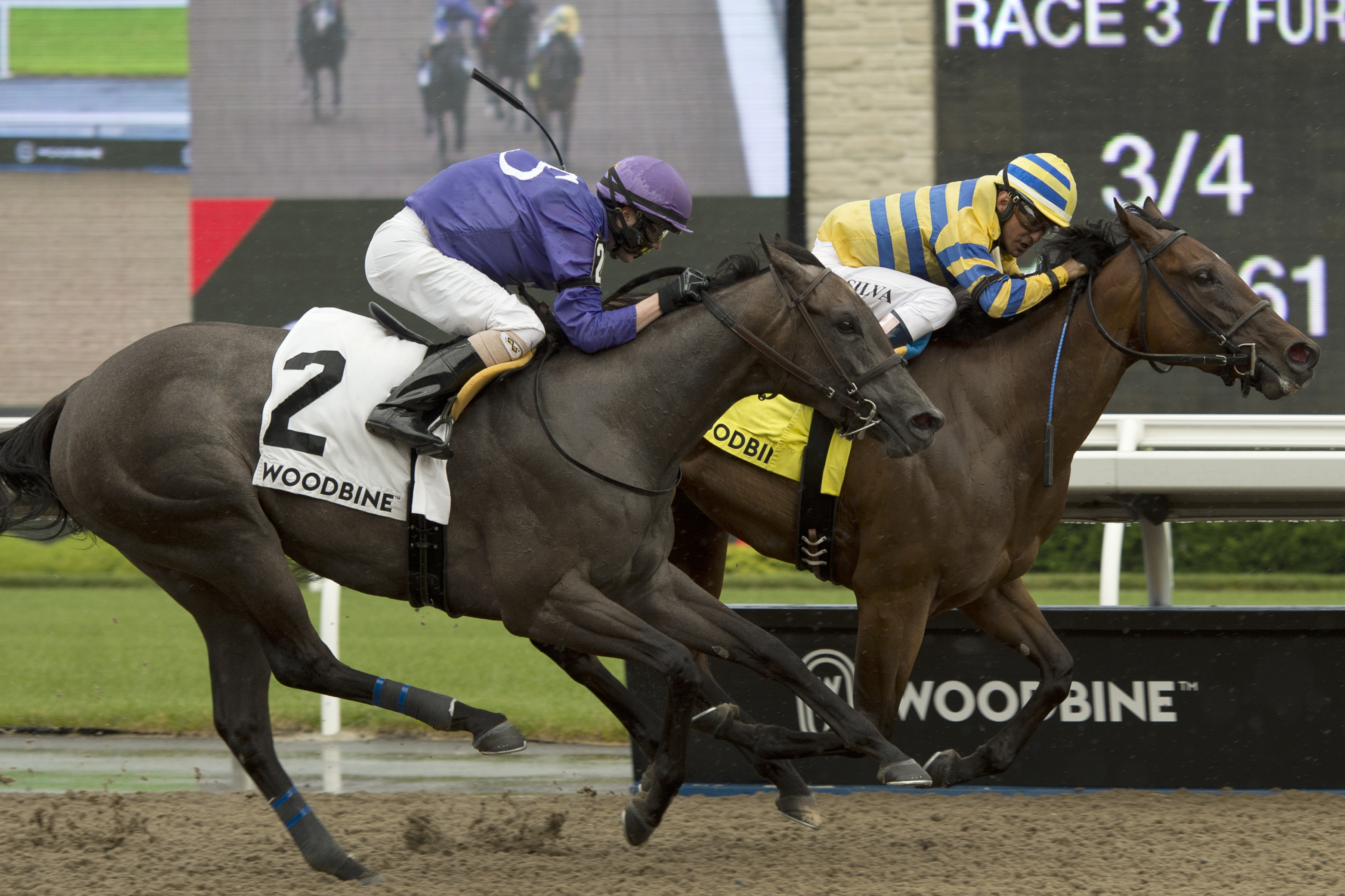 Ciuri wins the 2019 Lady Angela Stakes