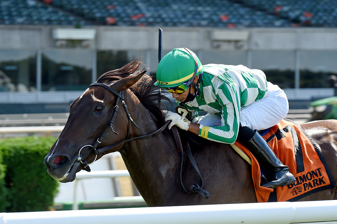 Civil Union wins the 2020 River Memories Stakes at Belmont Park
