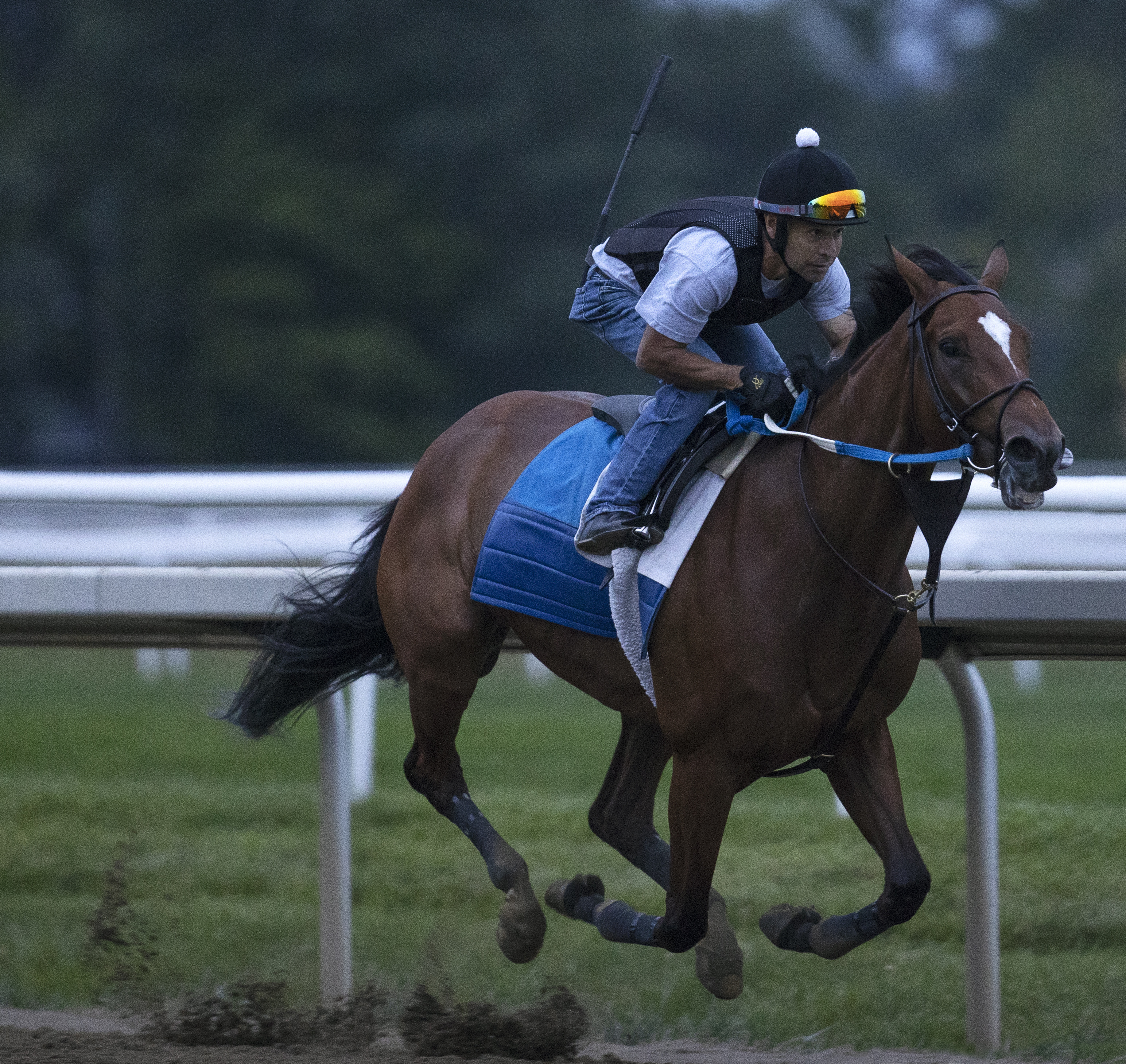 Clairiere breezes at Saratoga Aug 22 2022