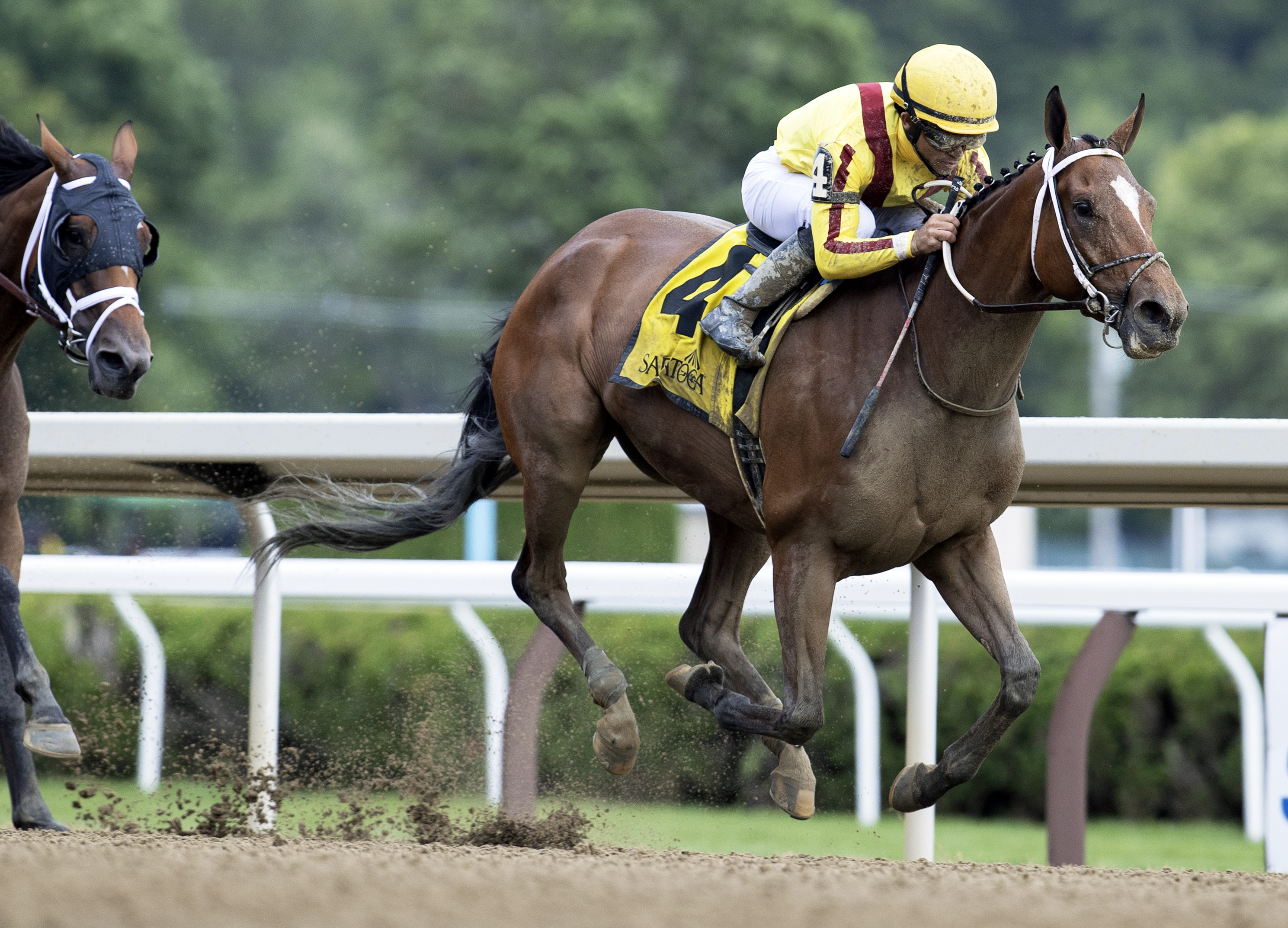 Clairiere/Eclipse Awards