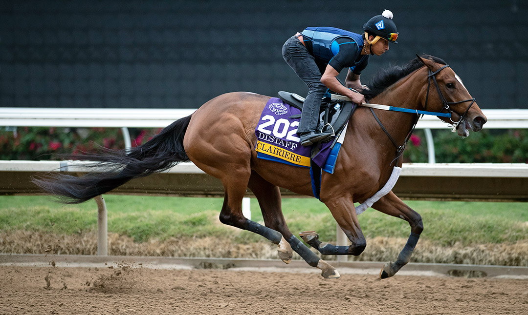 Clairiere trains at Del Mar in October 2021