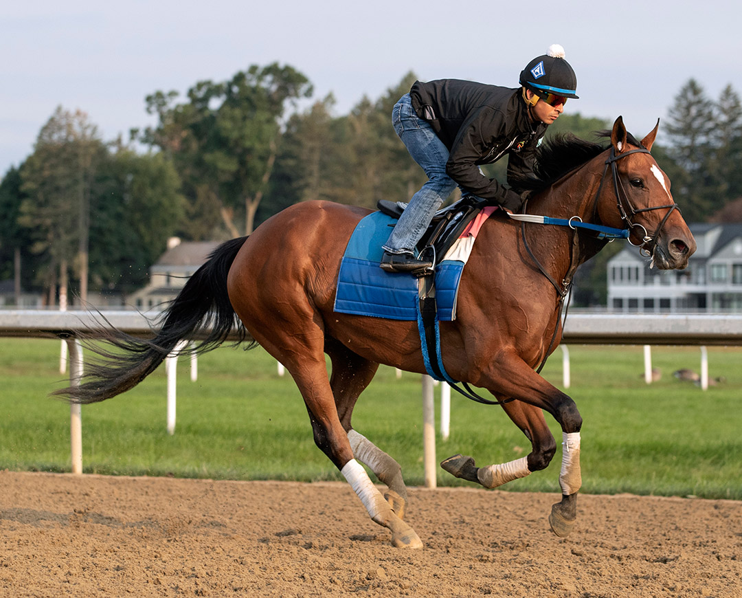 Clairiere trains at Saratoga Race Course on Sept. 12