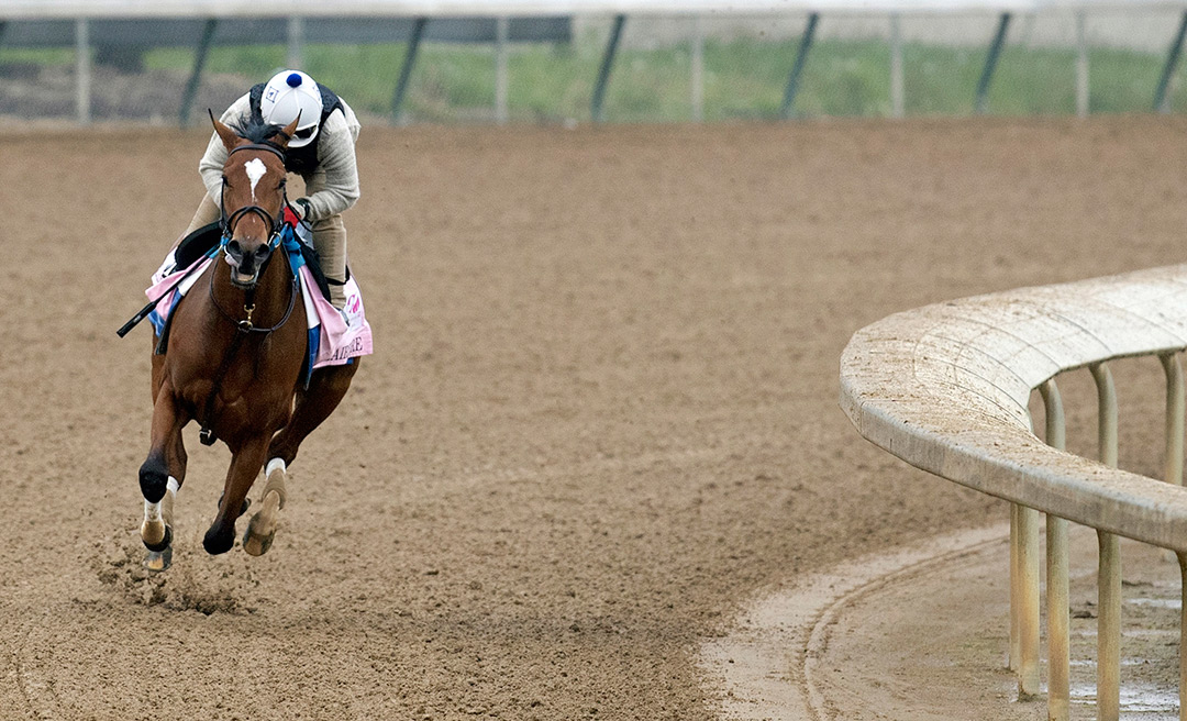 Clairiere trains at Churchill Downs on April 25