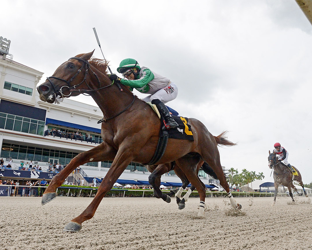 Clapton wins a July 24, 2021, maiden race at Gulfstream Park