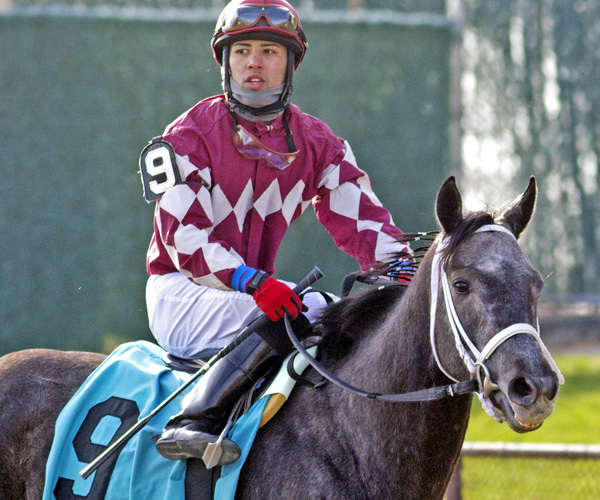 Angel Cruz eclipse